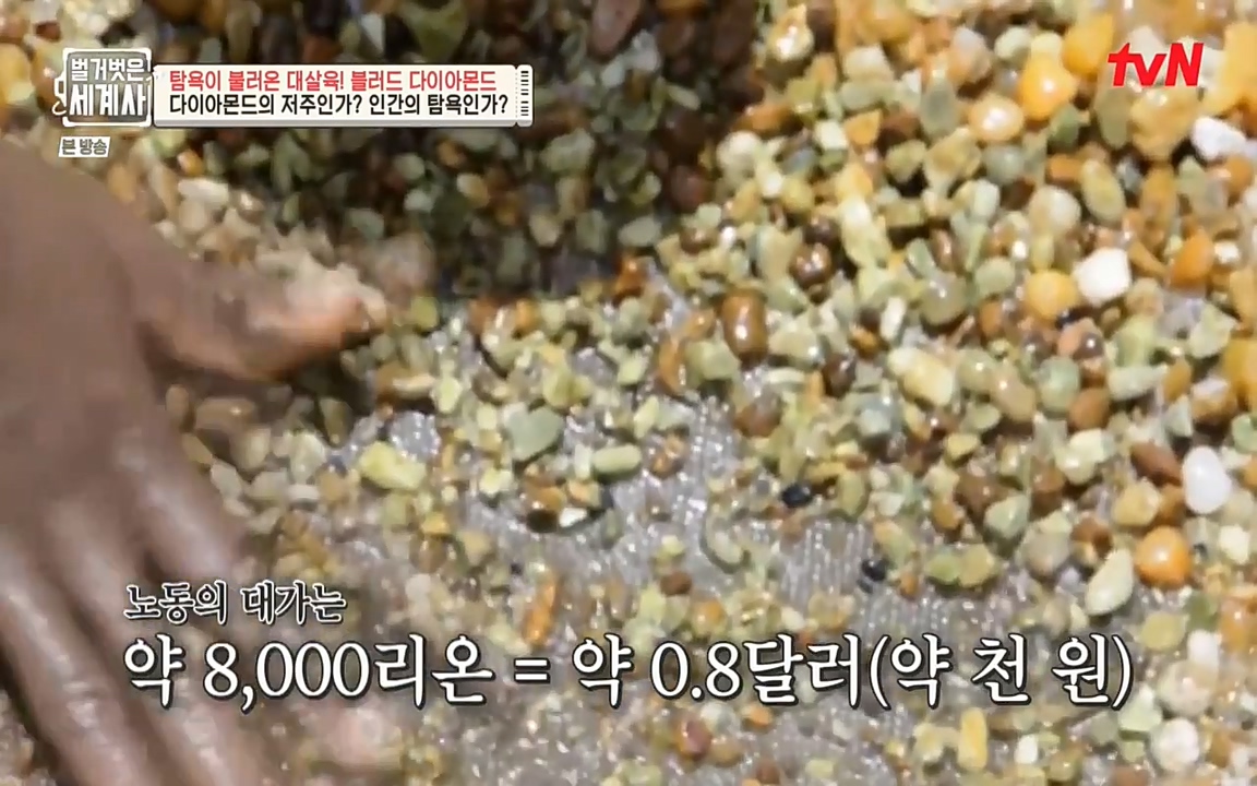 벌거벗은 세계사.E62.220831p-NEXT.mp4_20220905_203616.402.jpg