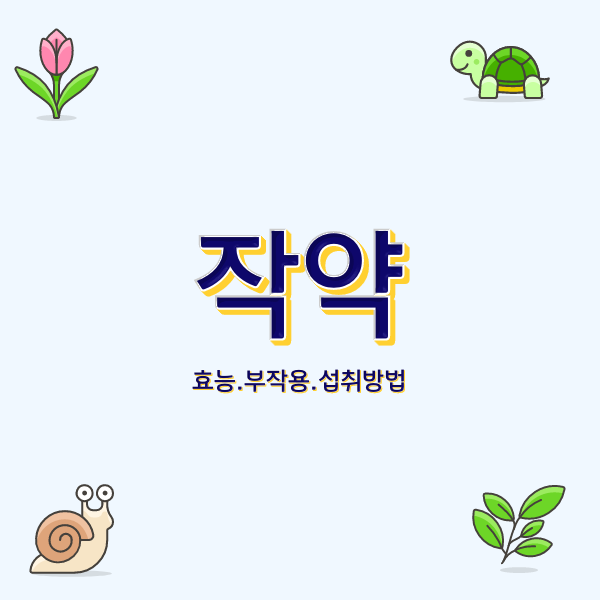  작약의 효능과 부작용 섭취 방법 꽃도 예쁘고 약도 되는 식물