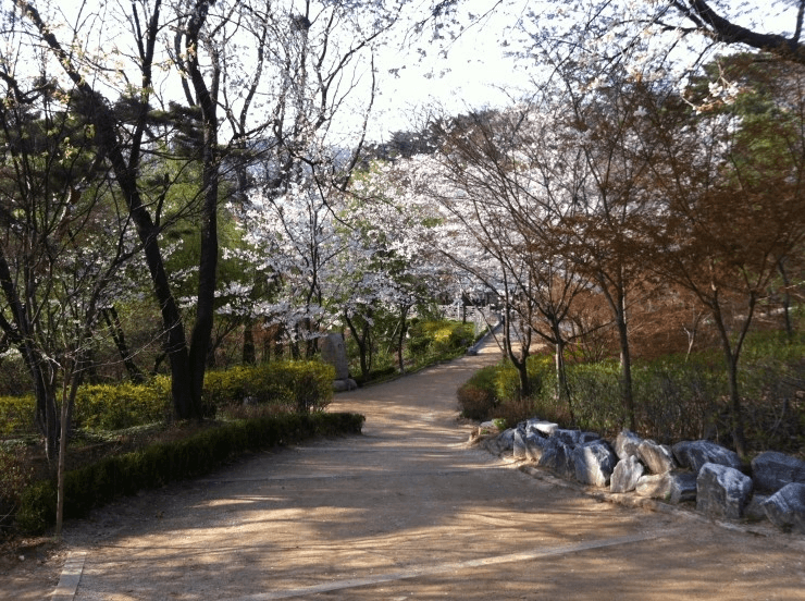 삼청공원의 봄꽃 개화