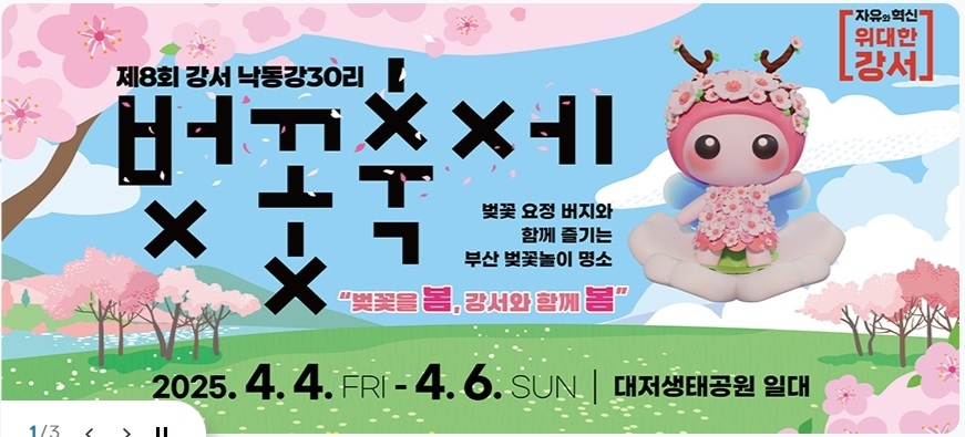 축제 정보