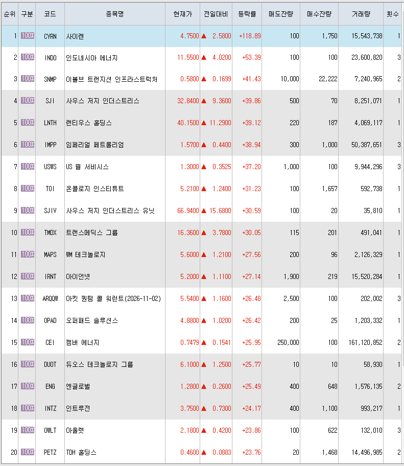  2월24일 미국주식 상승률 상위 종목 TOP 300