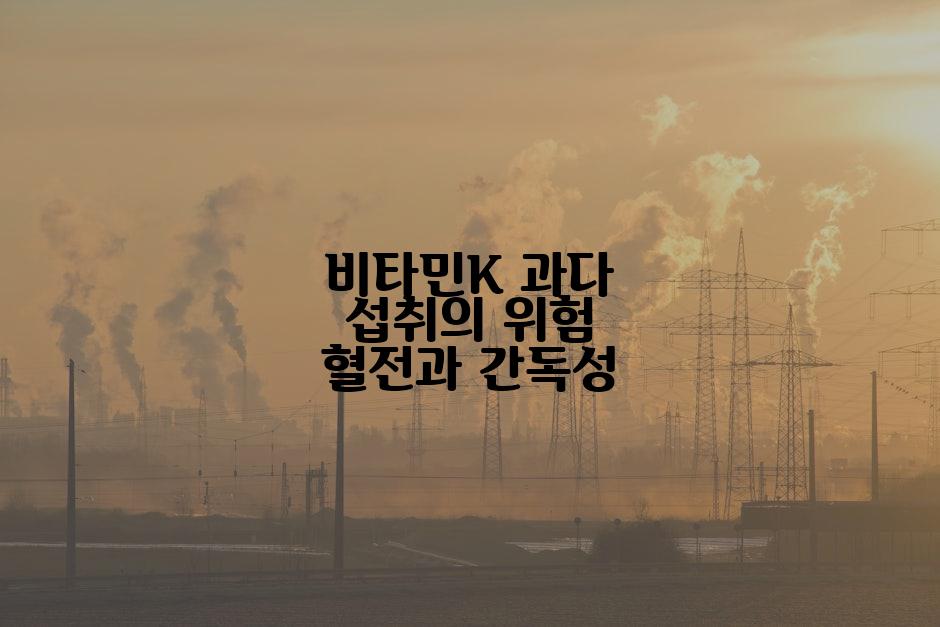 비타민K 과다 섭취의 위험 혈전과 간독성