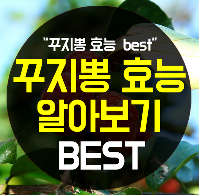  구찌뽕 효능 몸에 참좋은데
