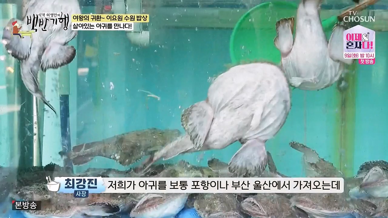 식객 허영만의 백반기행.E255.240708p-NEXT.mp4_20240708_194604.912.jpg