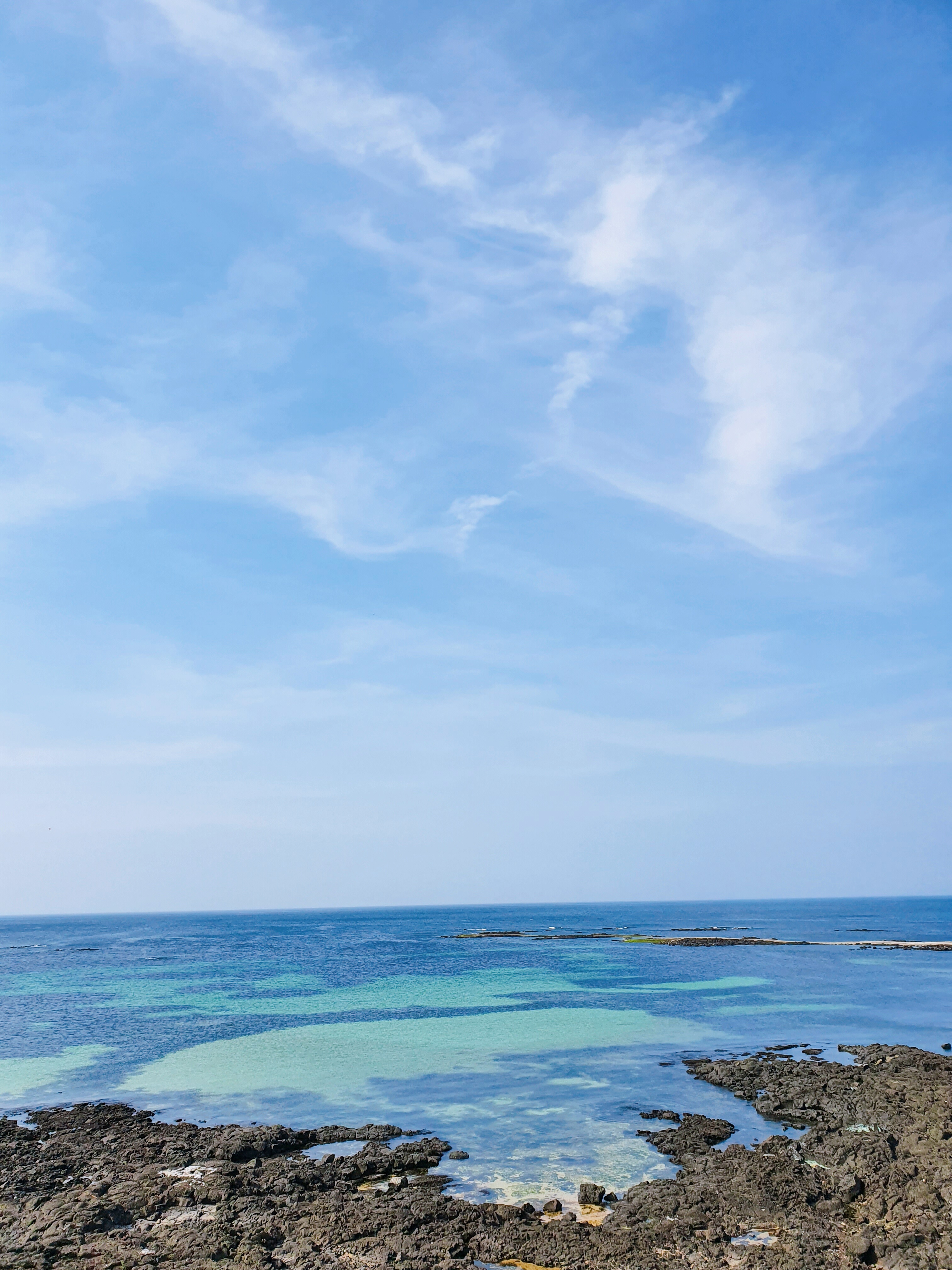  #3일차 제주도 서쪽->동쪽 3박4일 여행 코스 추천 (비자림->메이즈랜드 미로공원->세화 해수욕장/갈치조림/카페록록/흑돼지)