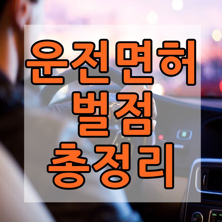  운전면허 벌점 소멸기간 및 운전면허 벌점 총정리