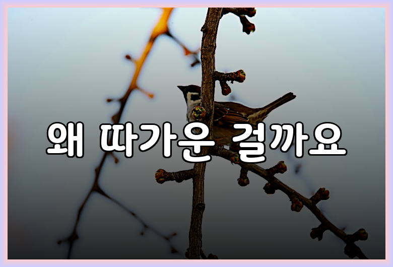 왜 따가운 걸까요