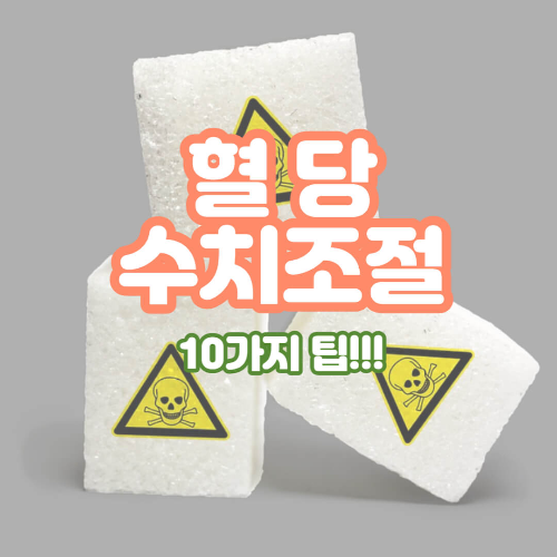  혈당수치조절 10가지팁