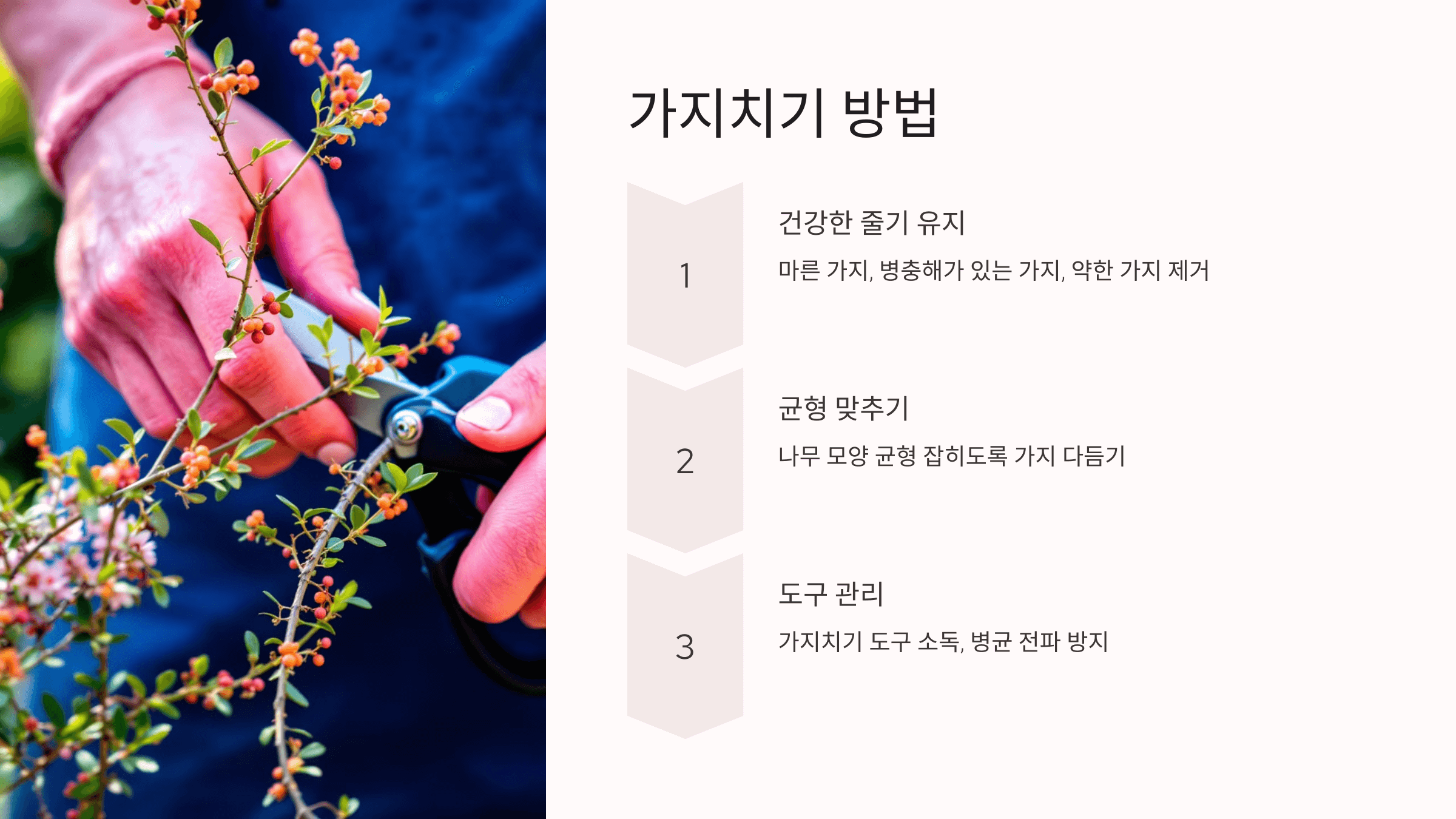 꽃기린 사진입니다.