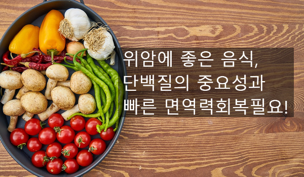 단백질의 중요성과 빠른 면역력 회복 필요! [AHCC 박사] 위암에 좋은 음식, 4