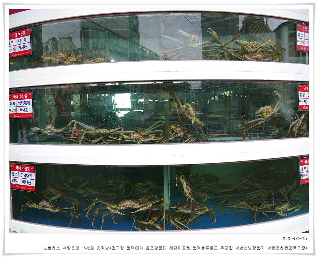 판교노인종합복지관 이미지