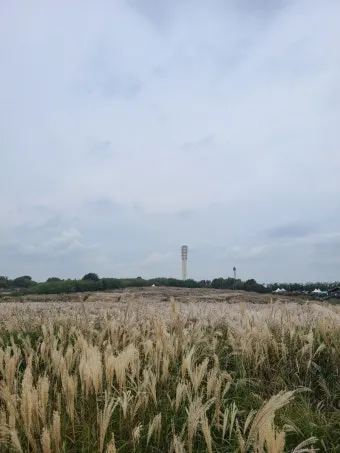 하늘공원 메타세콰이어길 산책 코스_12