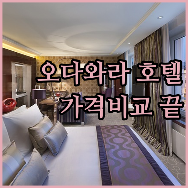 일본 오다와라 호텔 3곳 가격 비교