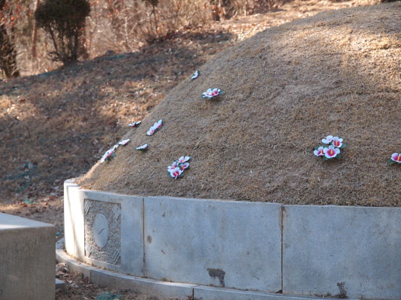 무궁화가 꽂혀 있는 김창숙 선생 묘소