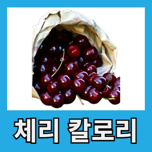 체리 칼로리