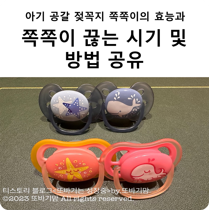  아기 공갈 젖꼭지 쪽쪽이의 효능과 끊는 시기 및 방법 공유