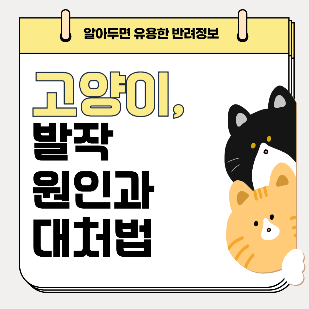 고양이 발작, 왜 생길까? 원인과 응급 대처법 정리