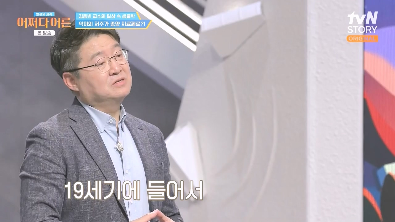 어쩌다 어른.E51.240410p-NEXT.mp4_20240410_180523.539.jpg