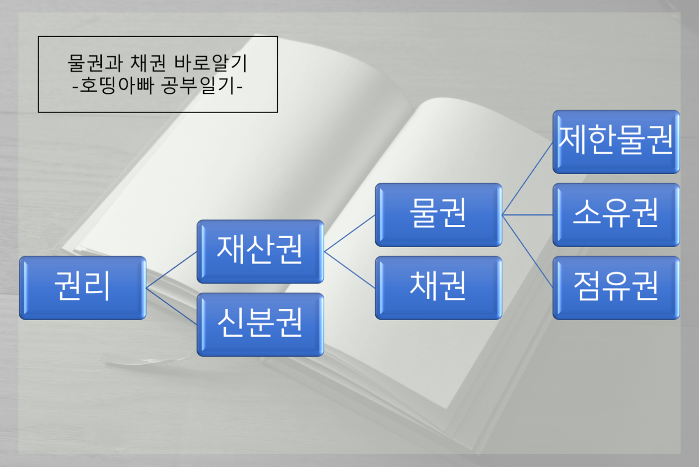  경매 도전기 ("권리분석의 기초 바로 알기")