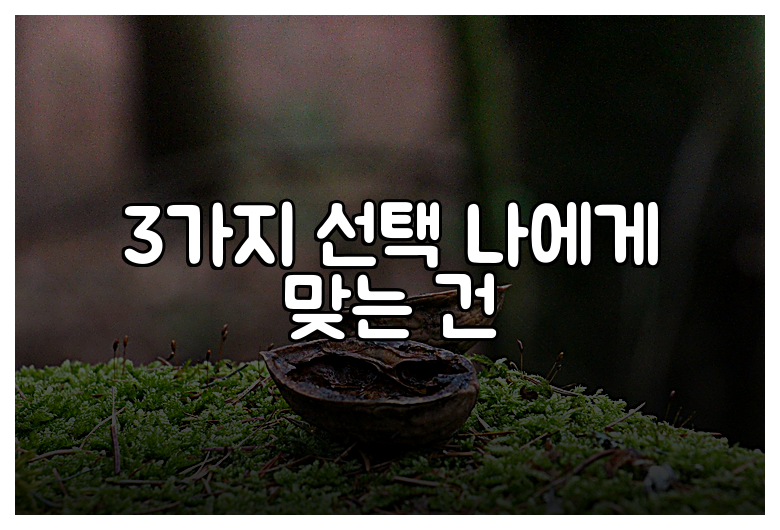 3가지 선택 나에게 맞는 건