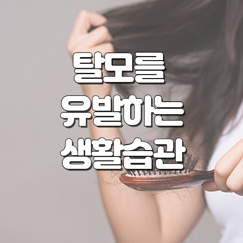  탈모를 유발하는 생활습관과 치료에 좋은 음식