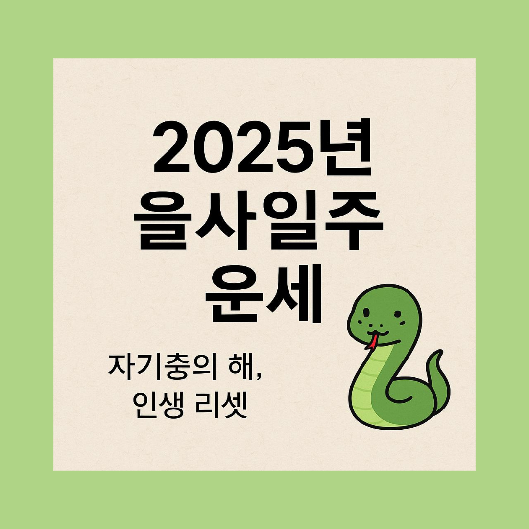 2025년 을사일주 이미지