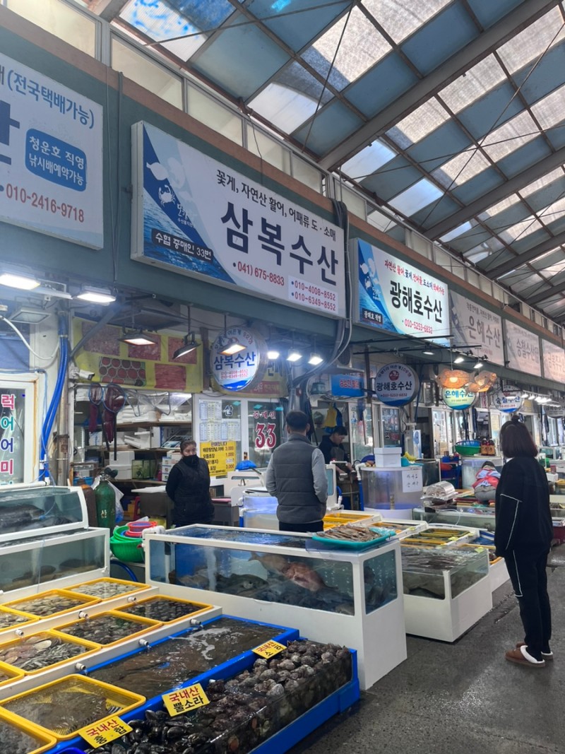 모항항 어시장