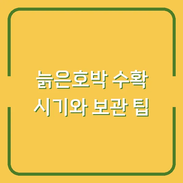늙은호박 수확 시기와 보관 팁