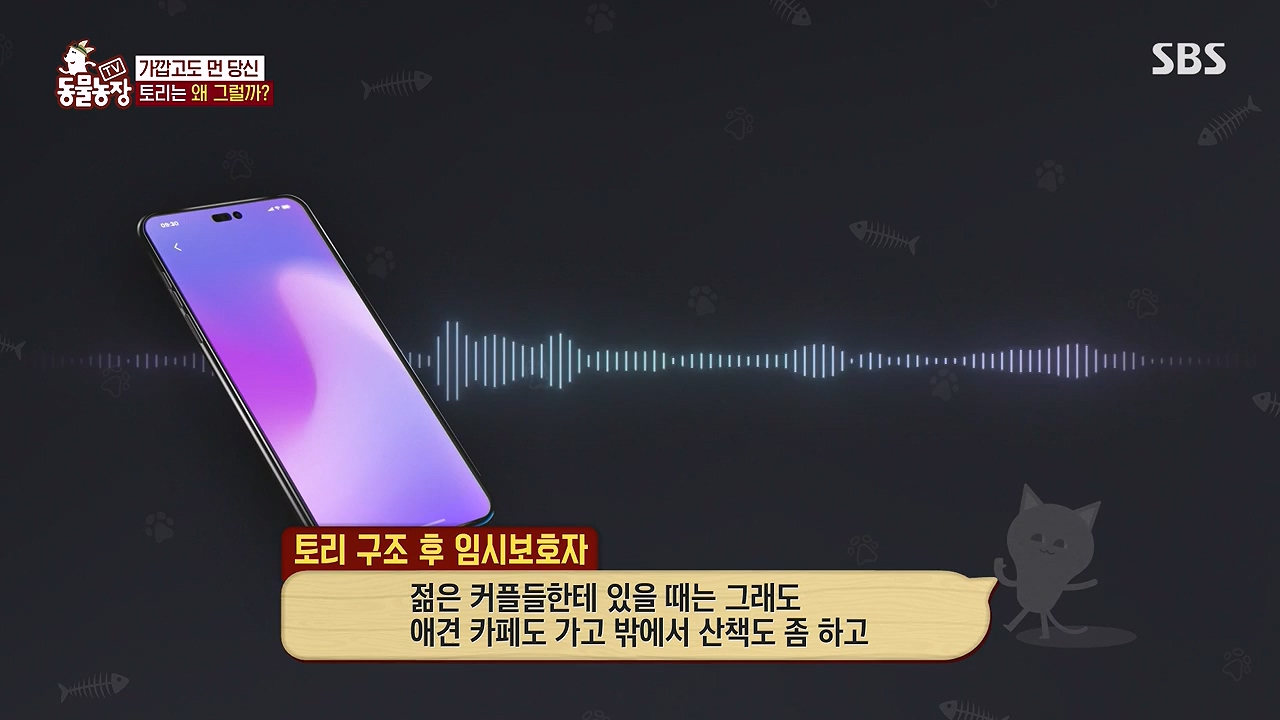 TV 동물농장.E1179.240708p-NEXT.mp4_20240707_160433.956.jpg