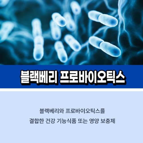 블랙베리_프로바이오틱스