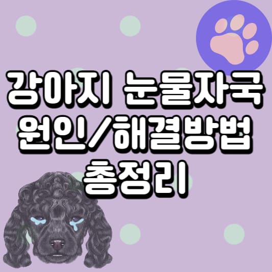 강아지 눈물자국
강아지 눈물자국 원인
강아지 눈물자국 이유
강아지 눈물자국 해결
강아지 눈물자국 관리
강아지 눈물자국 예방
강아지 눈물자국 제품