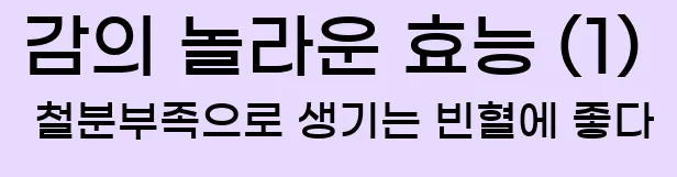  2.감의 놀라운 효능 (1) 철분부족으로 생기는 빈혈에 좋다.