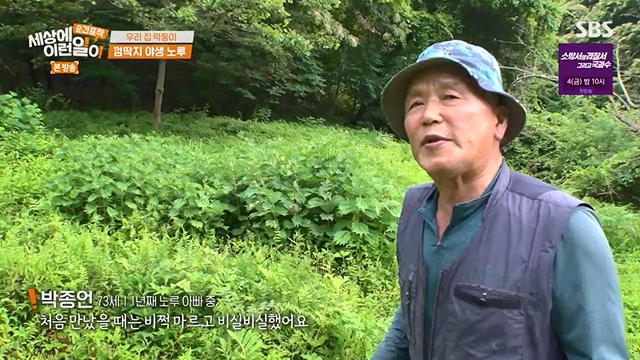 순간포착 세상에 이런일이.E1237.230716p-NEXT.mp4_20230716_174151.690.jpg