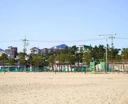 송지호해수욕장