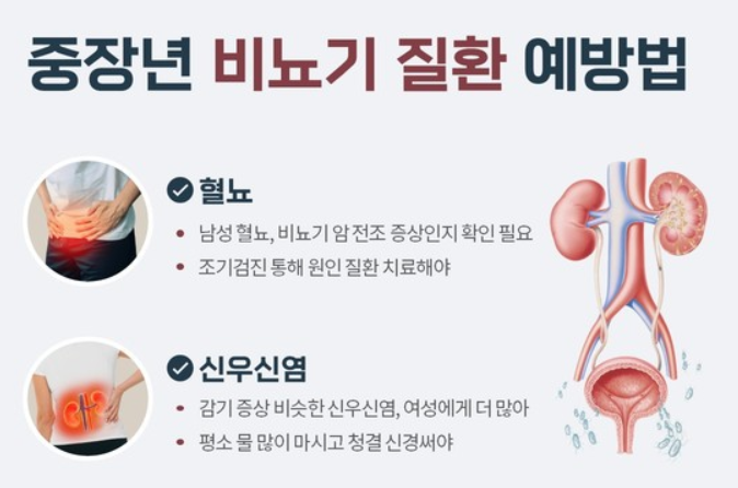 혈뇨가 나오는 이유