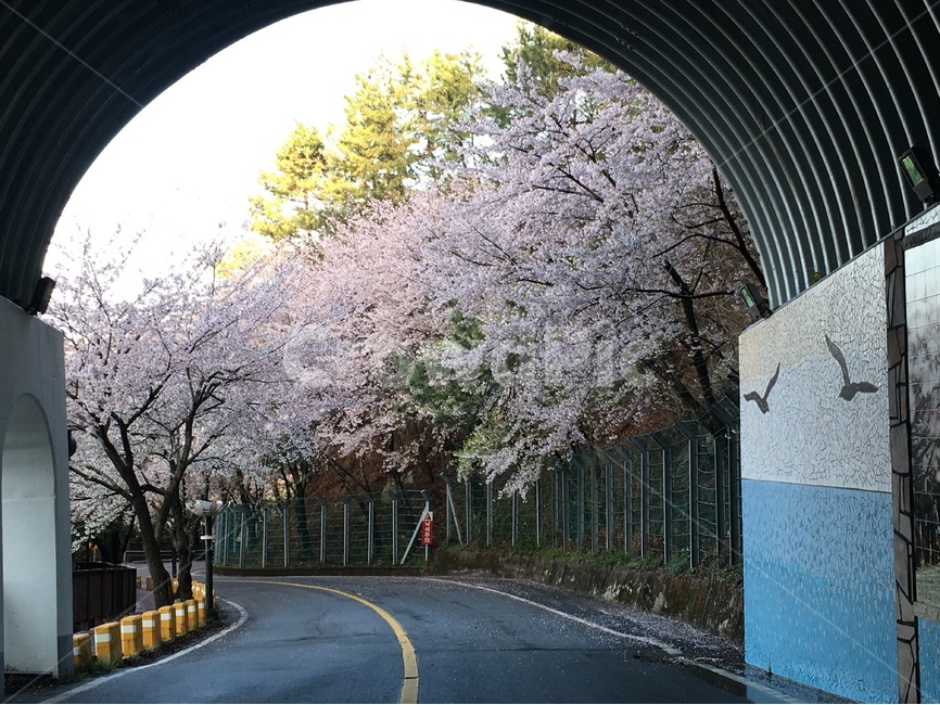 경남 창원의 숨은 관광지 5선: 최신 정보와 팁