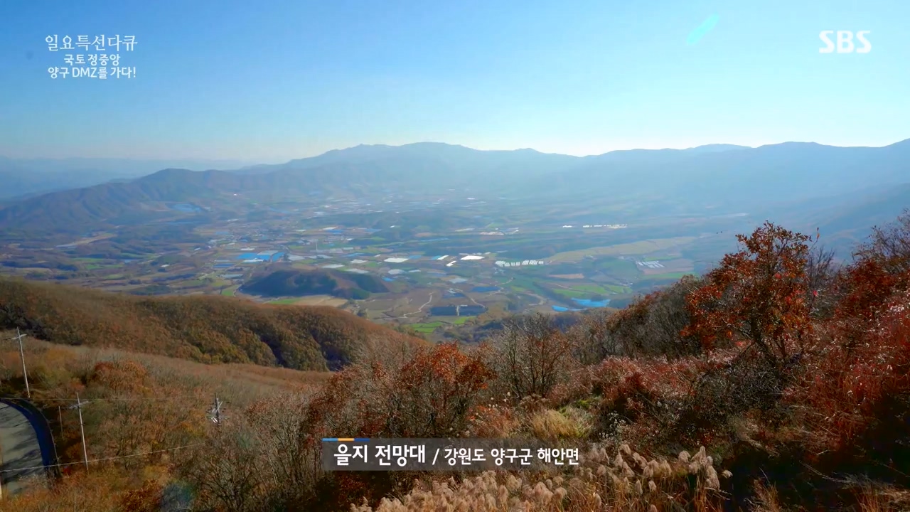 일요특선 다큐멘터리.E344.231204p-NEXT.mp4_20231206_194835.751.jpg