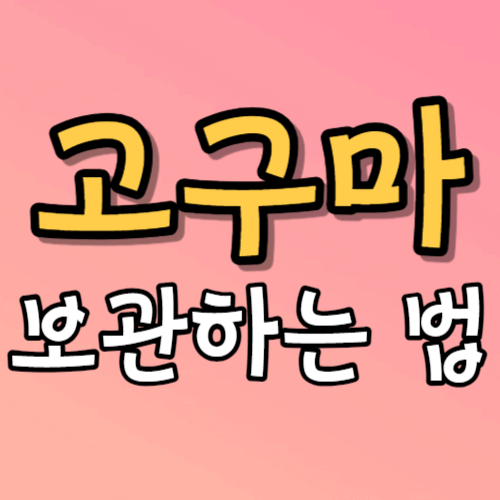 고구마 보관하는 법