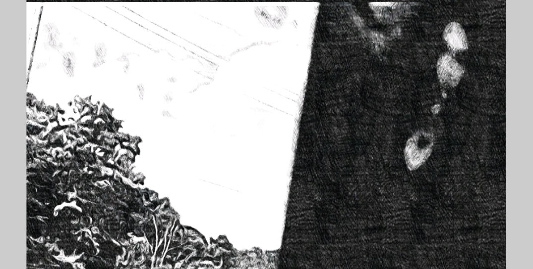 img.jpg
