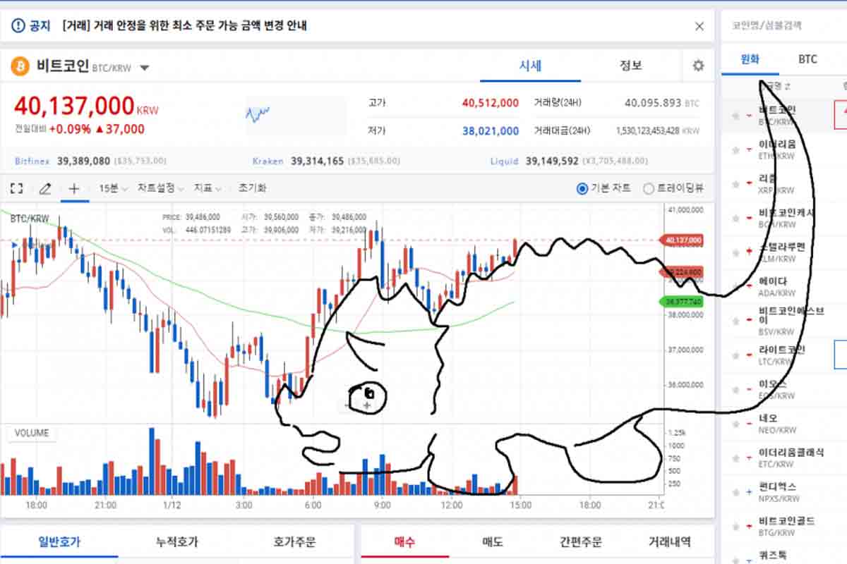 코인 차트