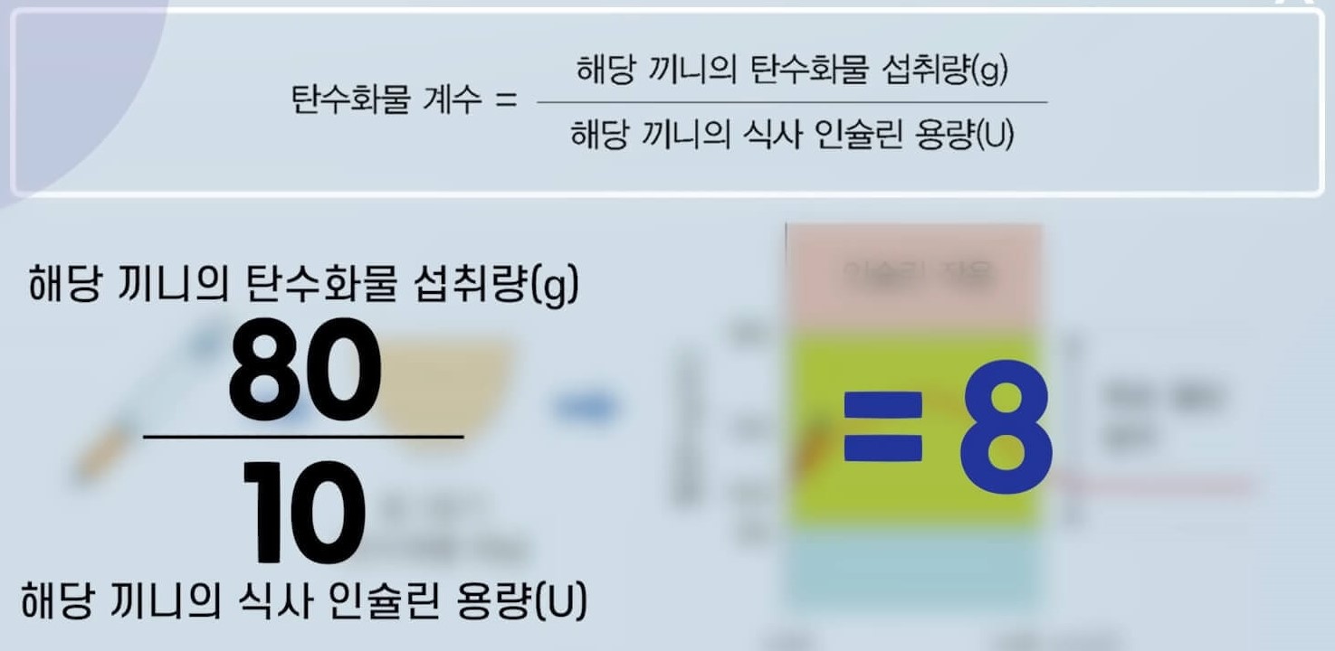 인슐린주사 용량&#44; 인슐린 주사&#44; 인슐린펌프&#44; 탄수화물 계수측정&#44; 혈당조절&#44; 인슐린 용량&#44; 당뇨환자 탄수화물계수&#44; 1형당뇨