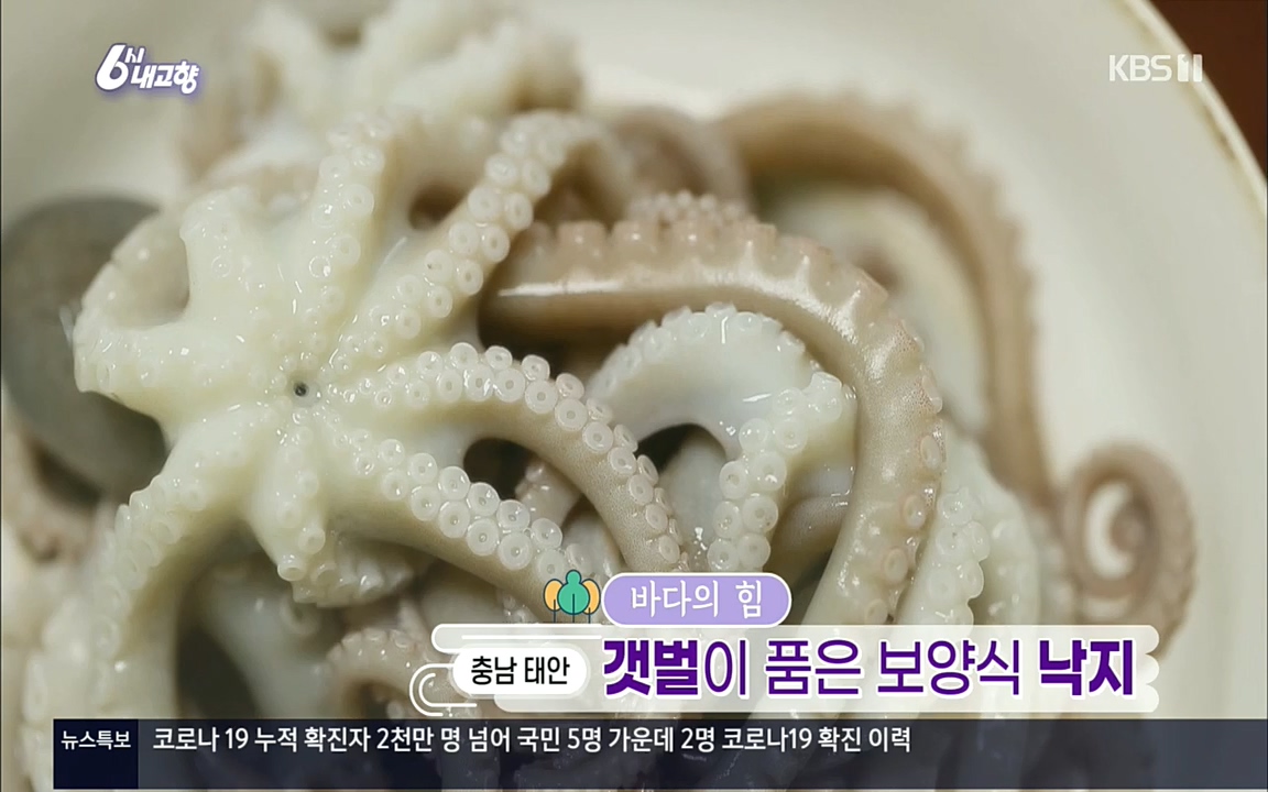 6시 내고향.E7596.220813p.H264-F1RST.mp4_20220814_172950.826.jpg