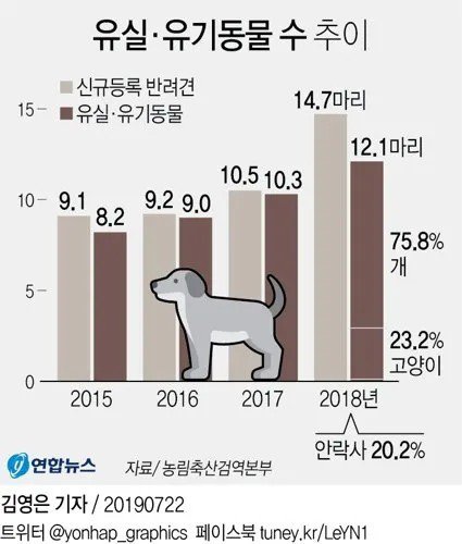  반려동물 유실 & 유기동물 근황