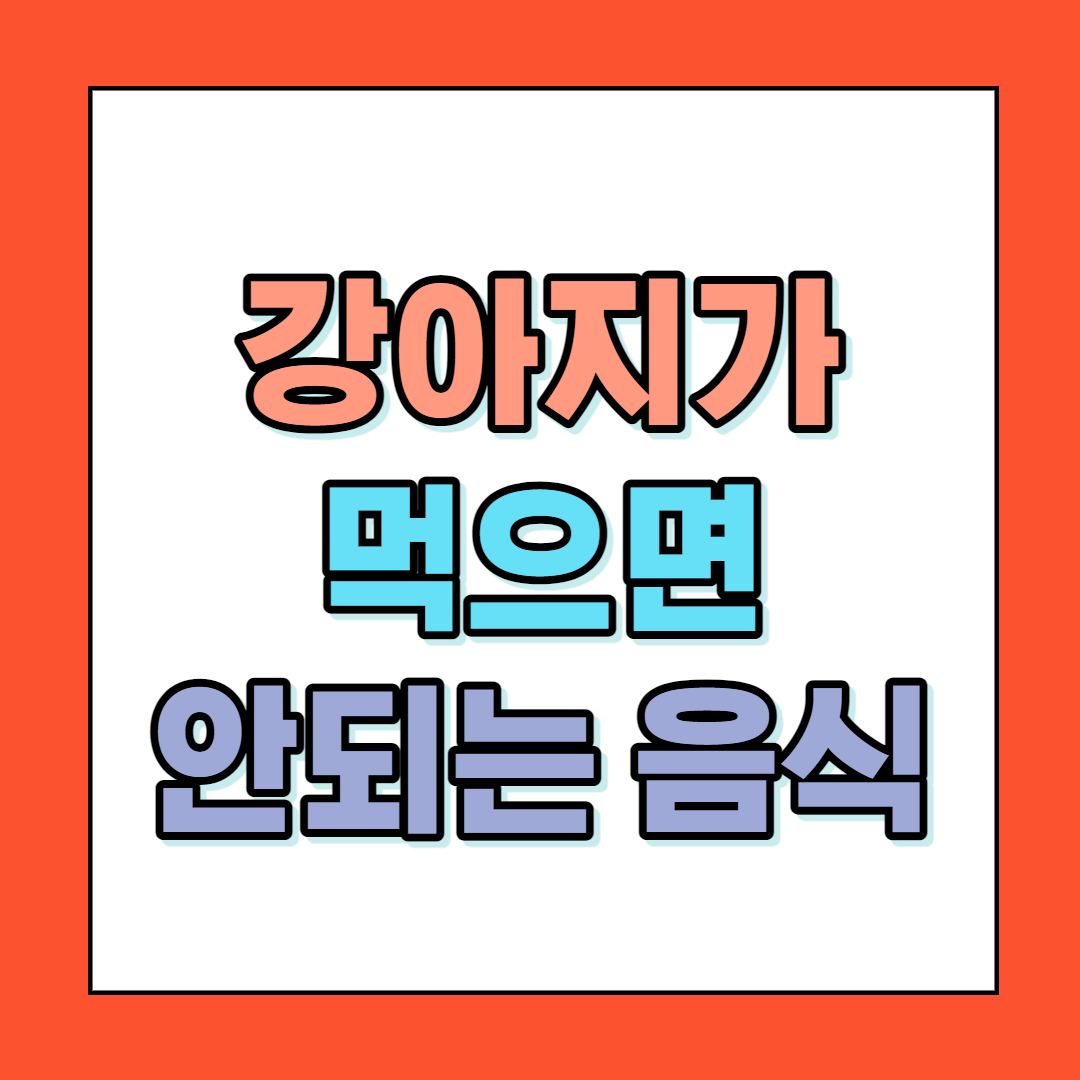  강아지가 먹으면 안되는 음식 알고 계신가요?