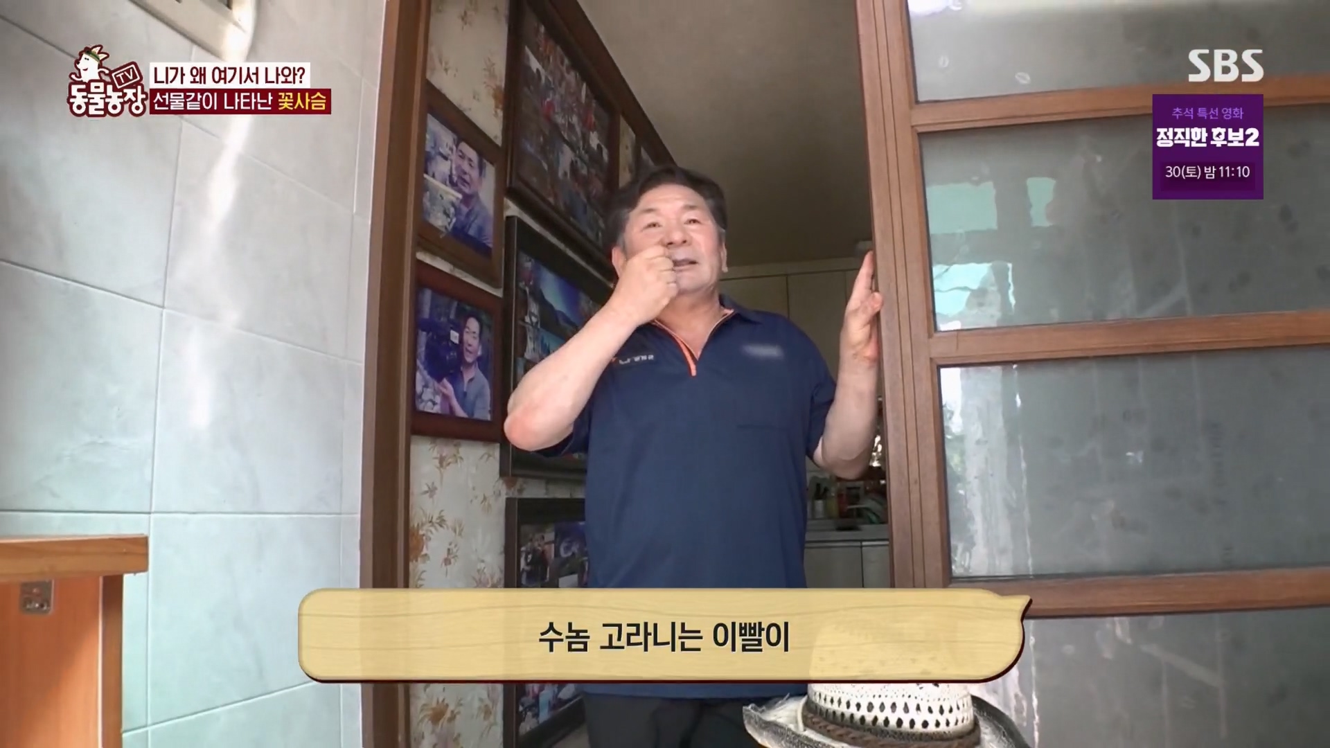 TV 동물농장.E1139.230924p.H264-F1RST.mp4_20230924_171630.529.jpg