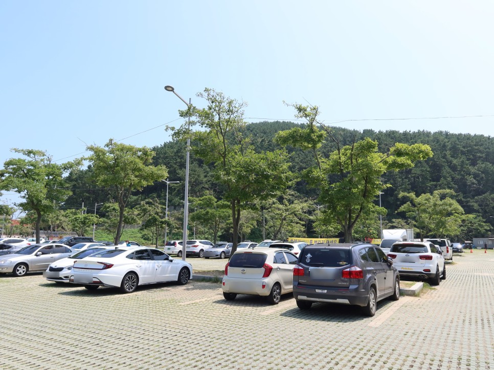 다대포 해양스포츠 아카데미 센터 (ft.웨이크보드) 부산서핑 여행 중 다녀온 19