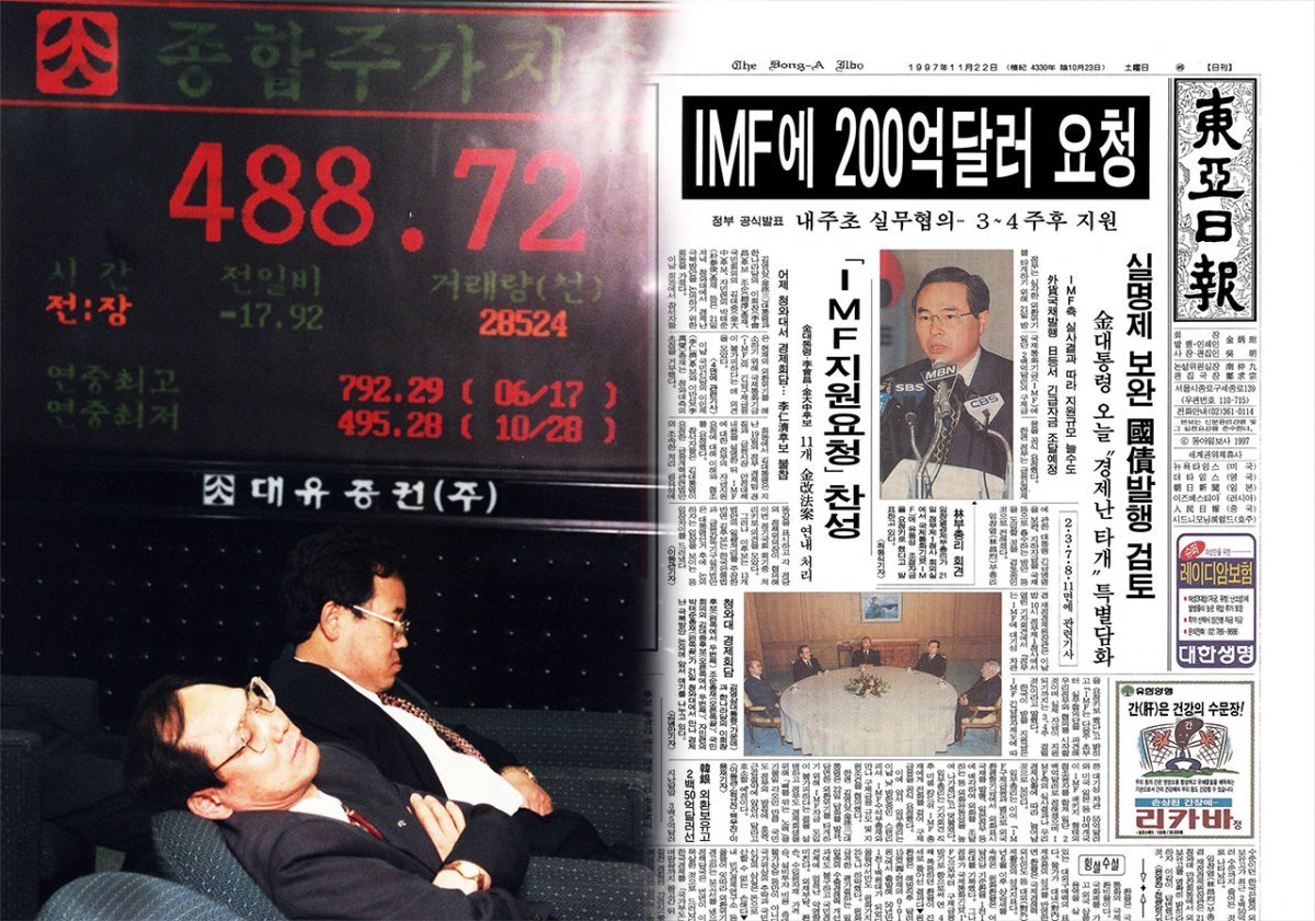 소양이네 이미지