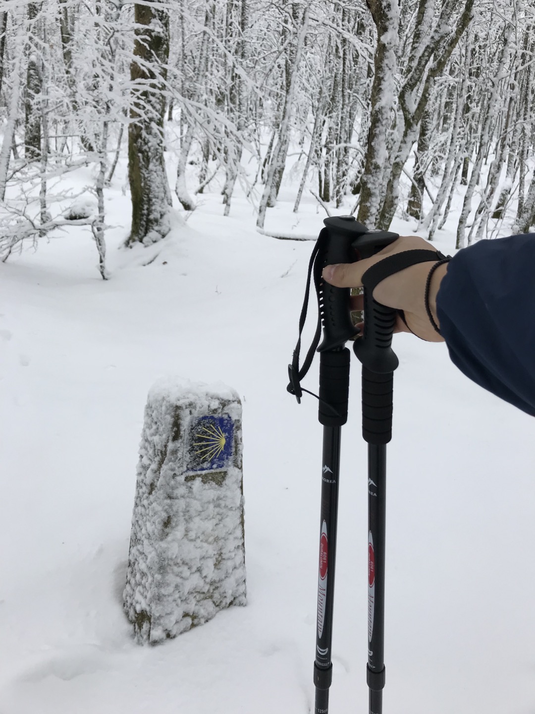  [Overseas Travel]Camino de Santiago Travel journal(Day 2)_산티아고 순례길(생장~론세스바예스)