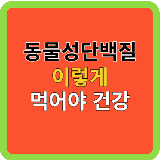 동물성 단백질 이렇게 먹어야 건강!