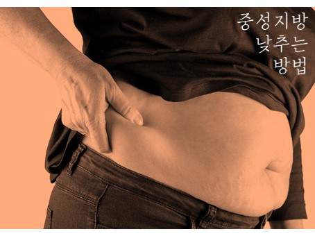  중성지방 낮추는 법